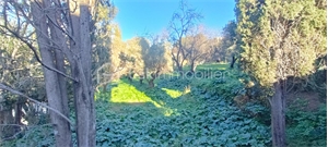 maison ancienne à la vente -   83200  TOULON, surface 120 m2 vente maison ancienne - UBI469330865